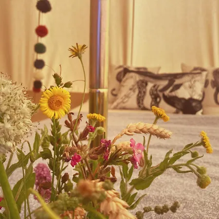 Foxglove Field Glamping Perranuthnoe Exterior photo