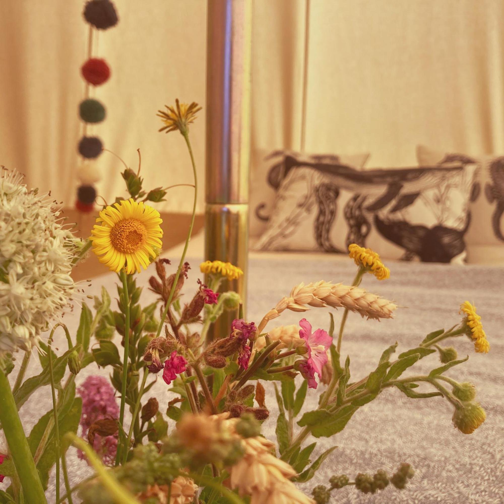 Foxglove Field Glamping Perranuthnoe