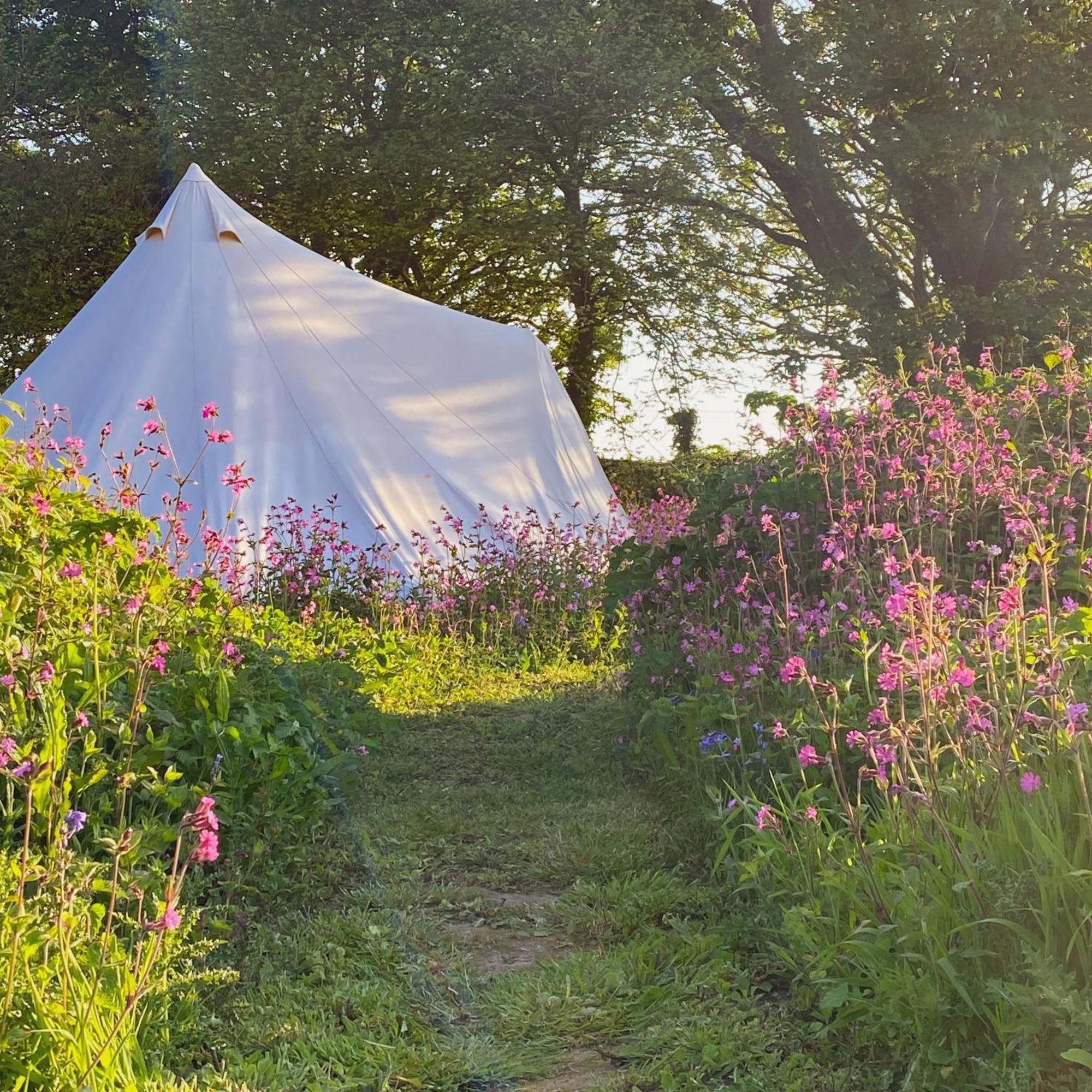 Luxury tent Foxglove Field Glamping *